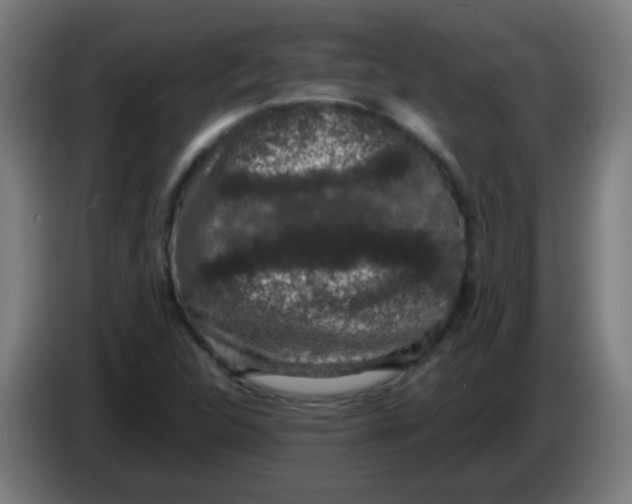 X0000086241312200704261908