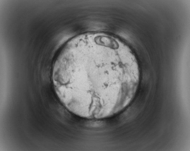 X0000086241314200704261908