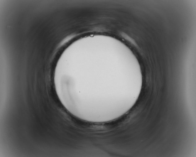 X0000086241315200704261908