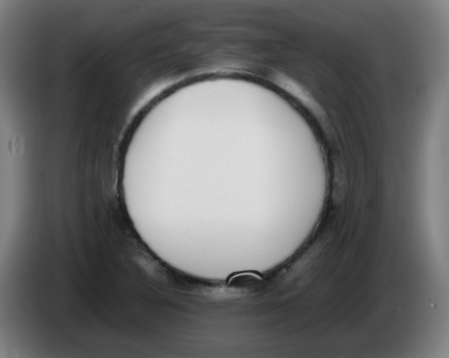 X0000086241316200704261908