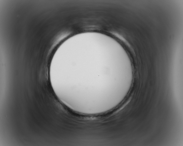 X0000086241317200704261908