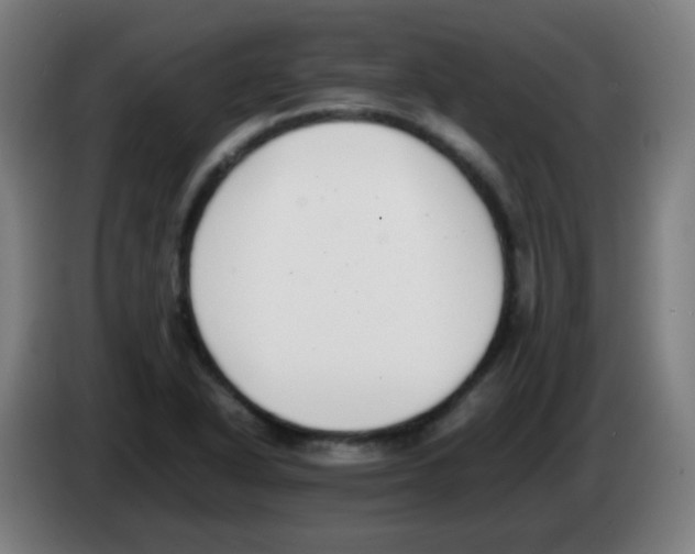 X0000086241318200704261908