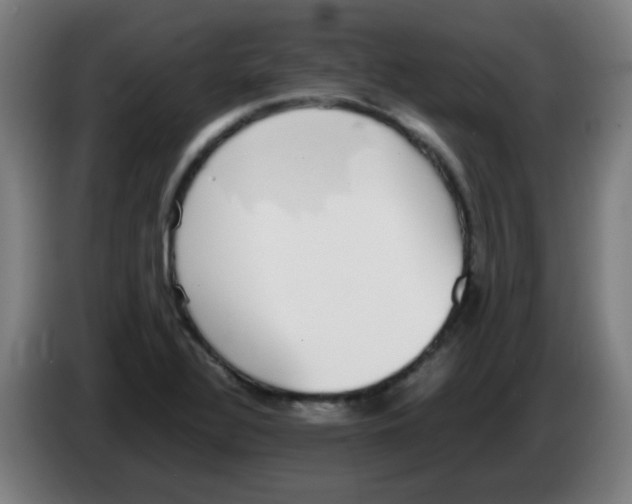 X0000086241320200704261908