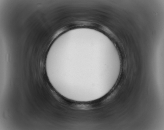 X0000086241321200704261908