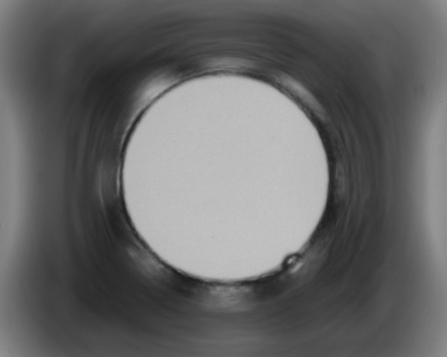 X0000086241322200704261908