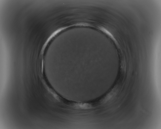 X0000086241323200704261908