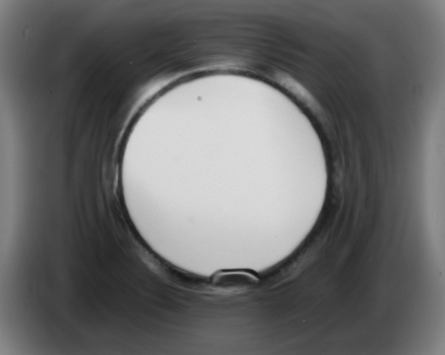 X0000086241324200704261908
