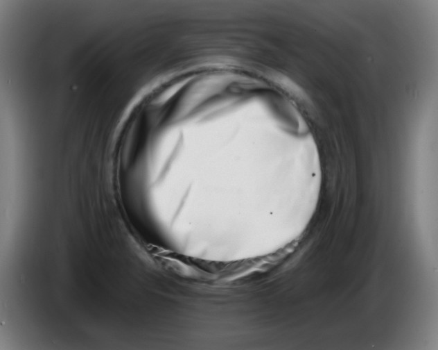X0000086241326200704261908