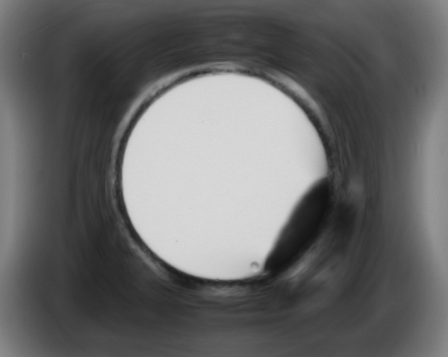 X0000086241327200704261908