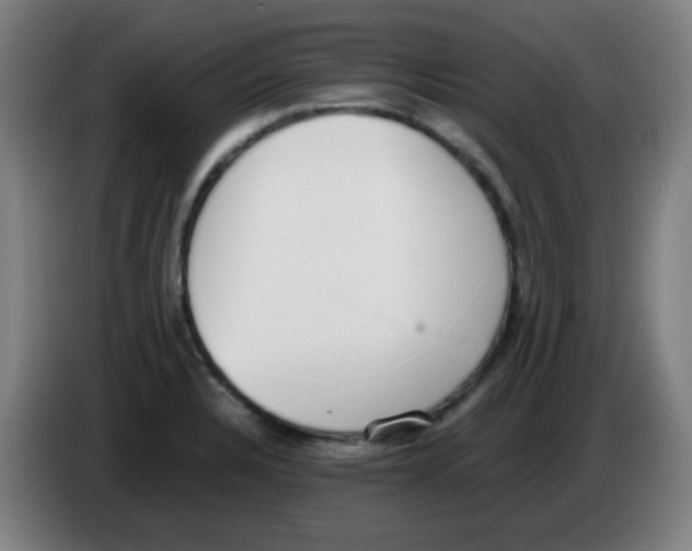 X0000086241328200704261908