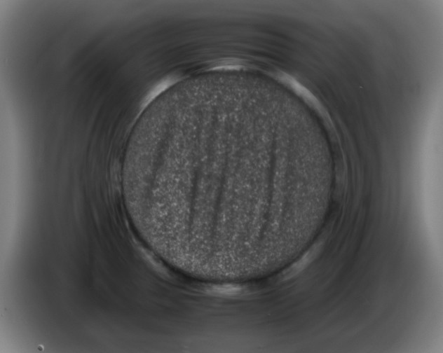 X0000086241329200704261908