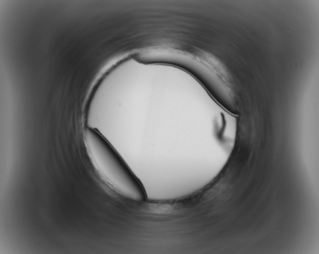 X0000086241332200704261908