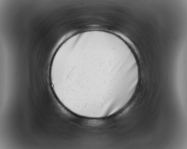 X0000086241333200704261908