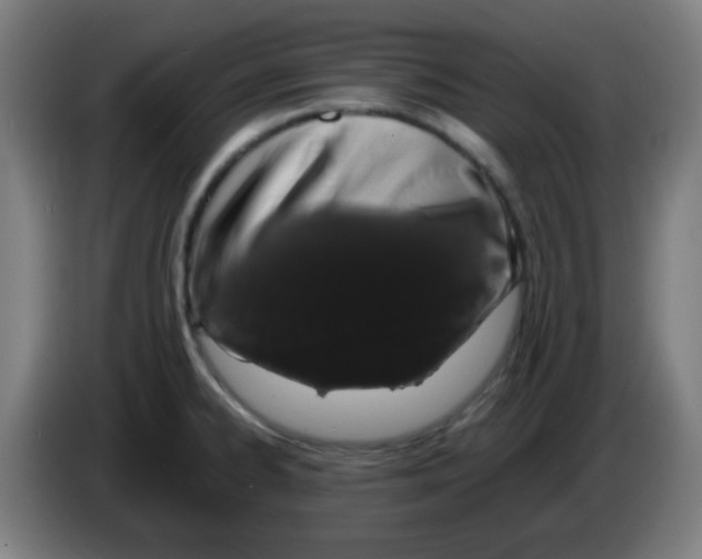 X0000086241334200704261908
