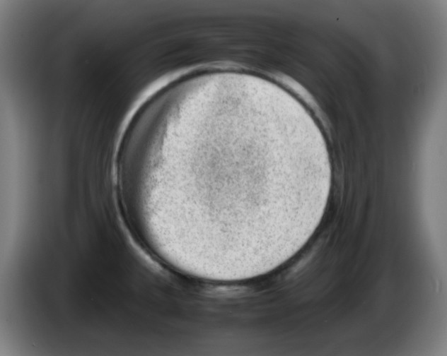X0000086241335200704261908