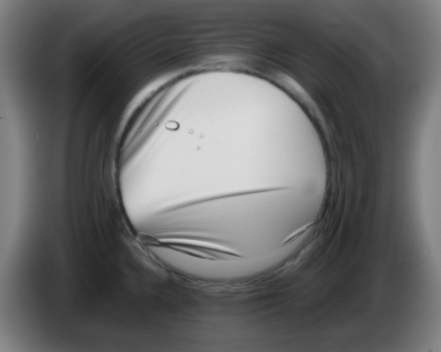 X0000086241336200704261908