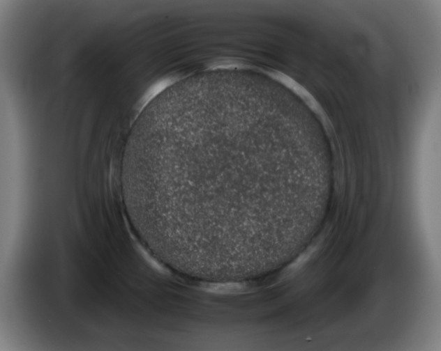 X0000086241337200704261908