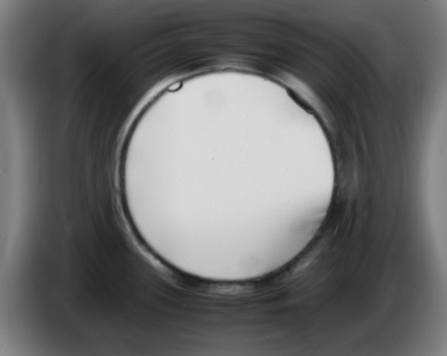 X0000086241339200704261908