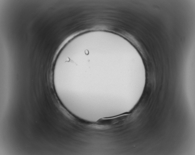 X0000086241340200704261908
