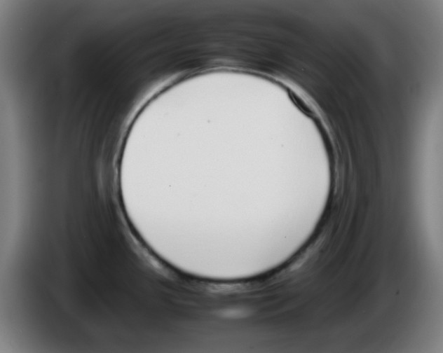 X0000086241341200704261908