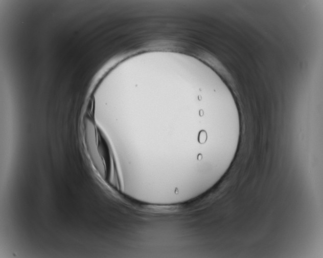 X0000086241344200704261908