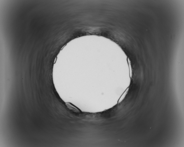 X0000086241345200704261908