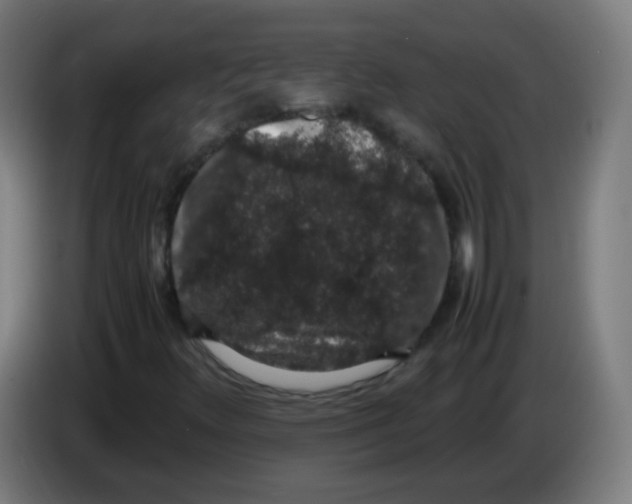 X0000086241348200704261908