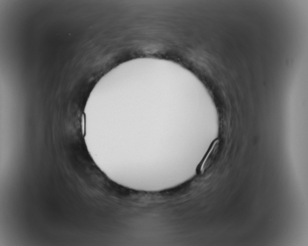 X0000086241349200704261908
