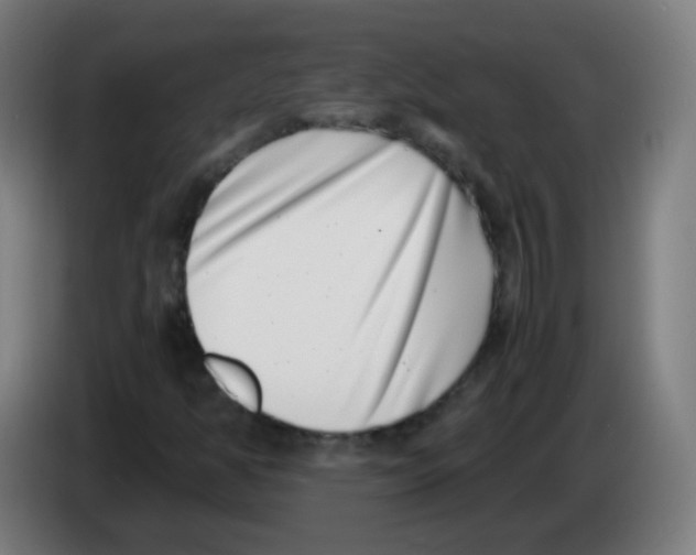 X0000086241350200704261908