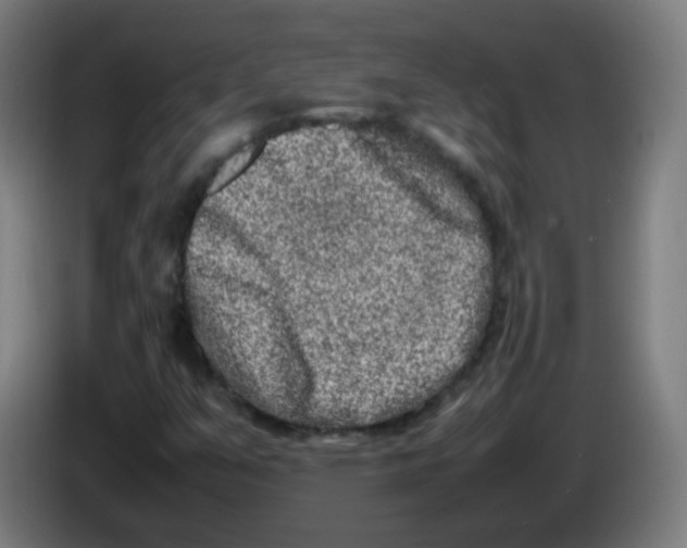 X0000086241351200704261908