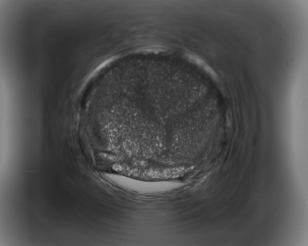 X0000086241352200704261908