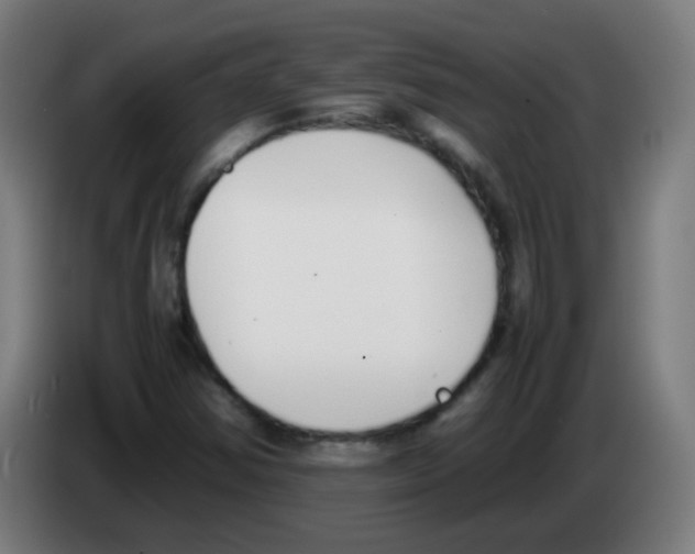X0000086241354200704261908