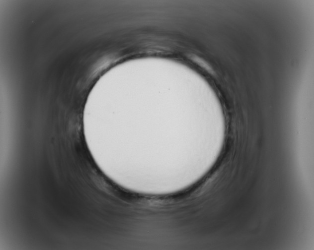 X0000086241355200704261908