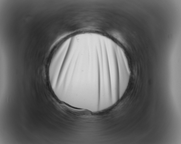 X0000086241356200704261908