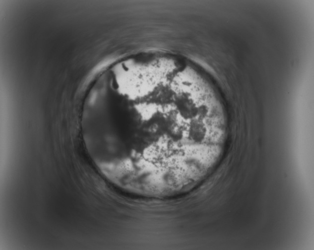 X0000086241359200704261908