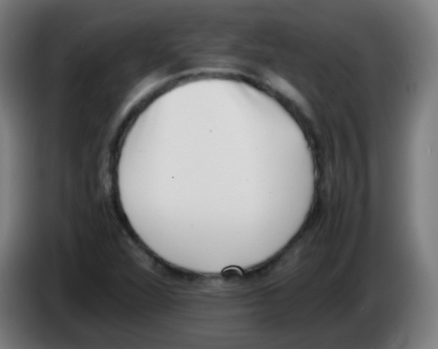X0000086241360200704261908