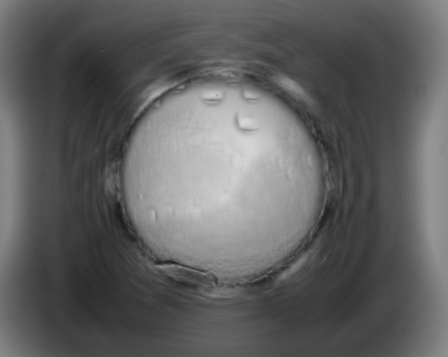 X0000086241361200704261908