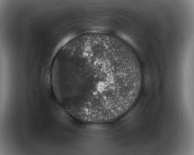 X0000086241362200704261908