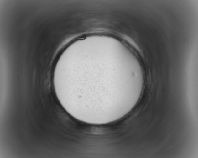 X0000086241364200704261908