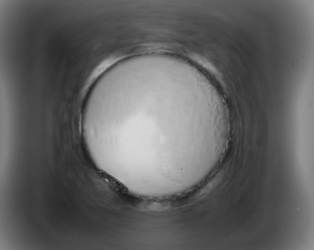 X0000086241365200704261908
