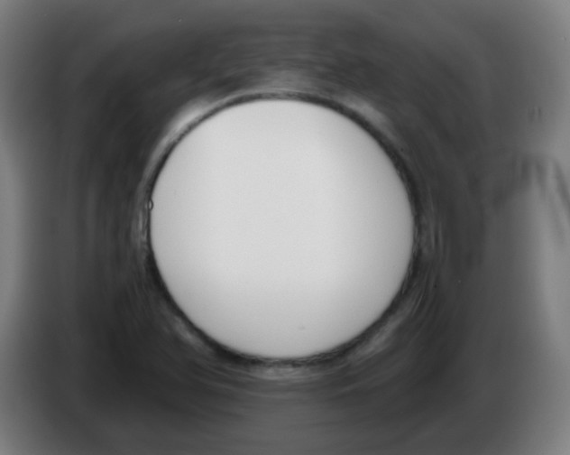 X0000086241366200704261908