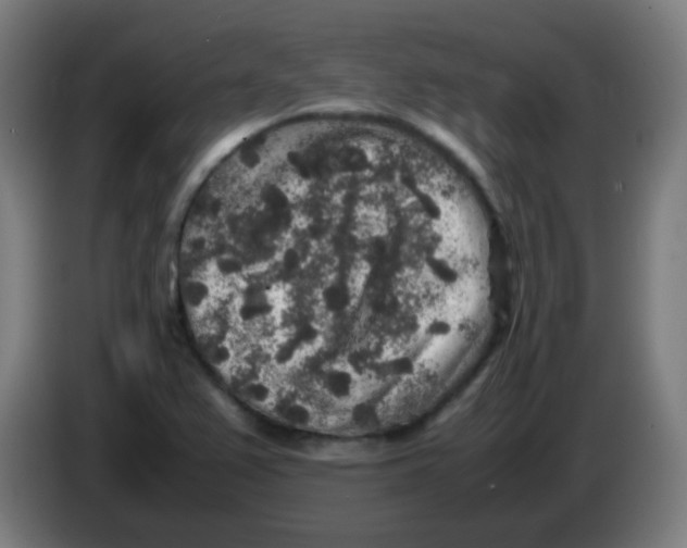 X0000086241367200704261908