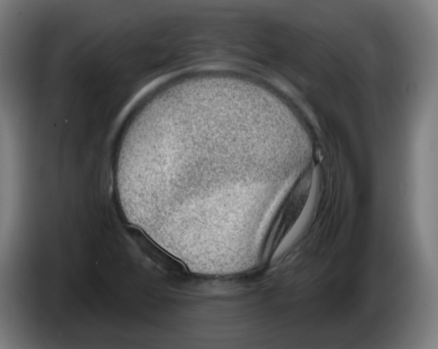 X0000086241368200704261907
