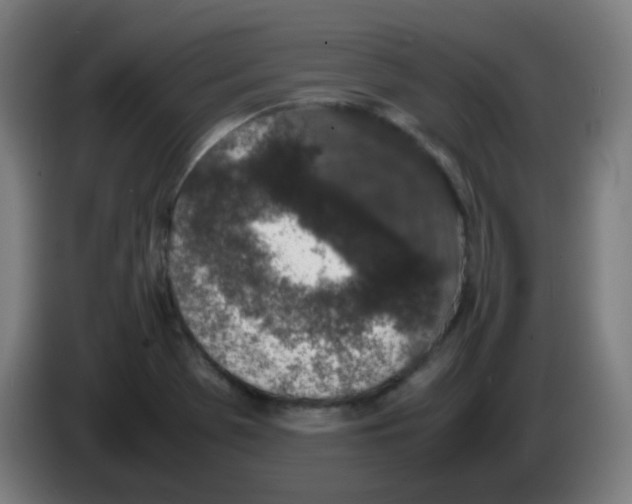 X0000086241369200704261907