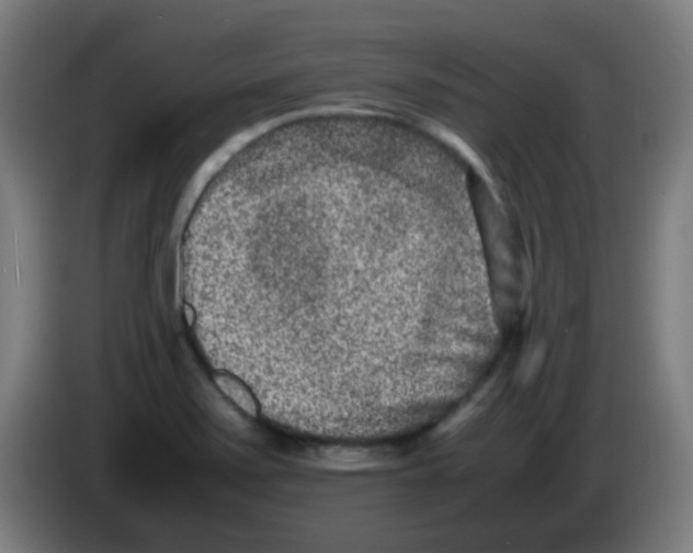 X0000086241371200704261907