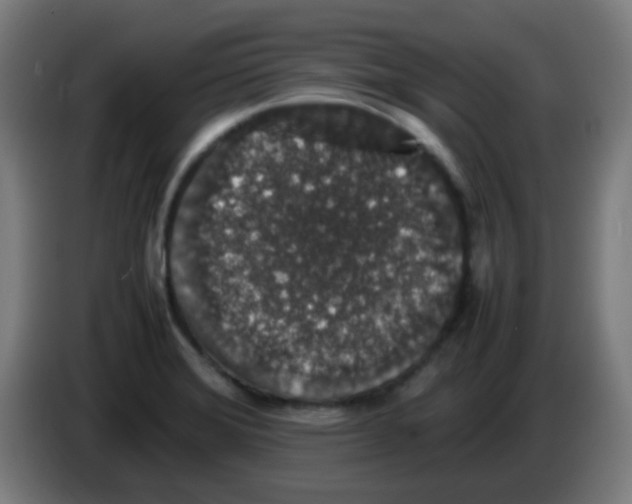 X0000086241372200704261907