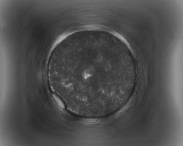 X0000086241373200704261907