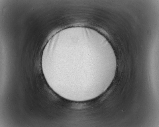 X0000086241374200704261907