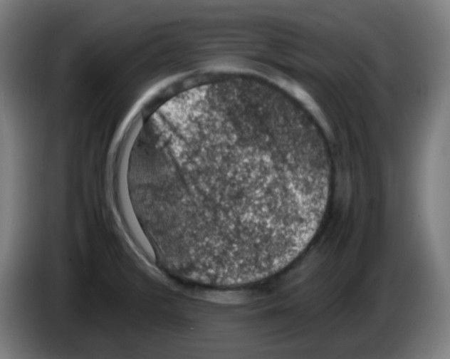 X0000086241376200704261907