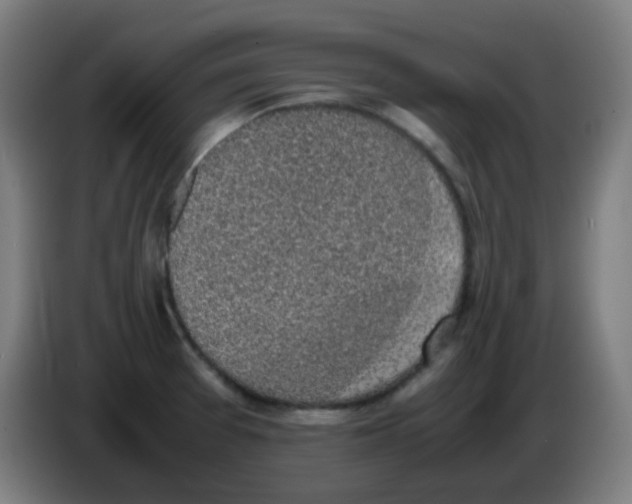X0000086241377200704261907